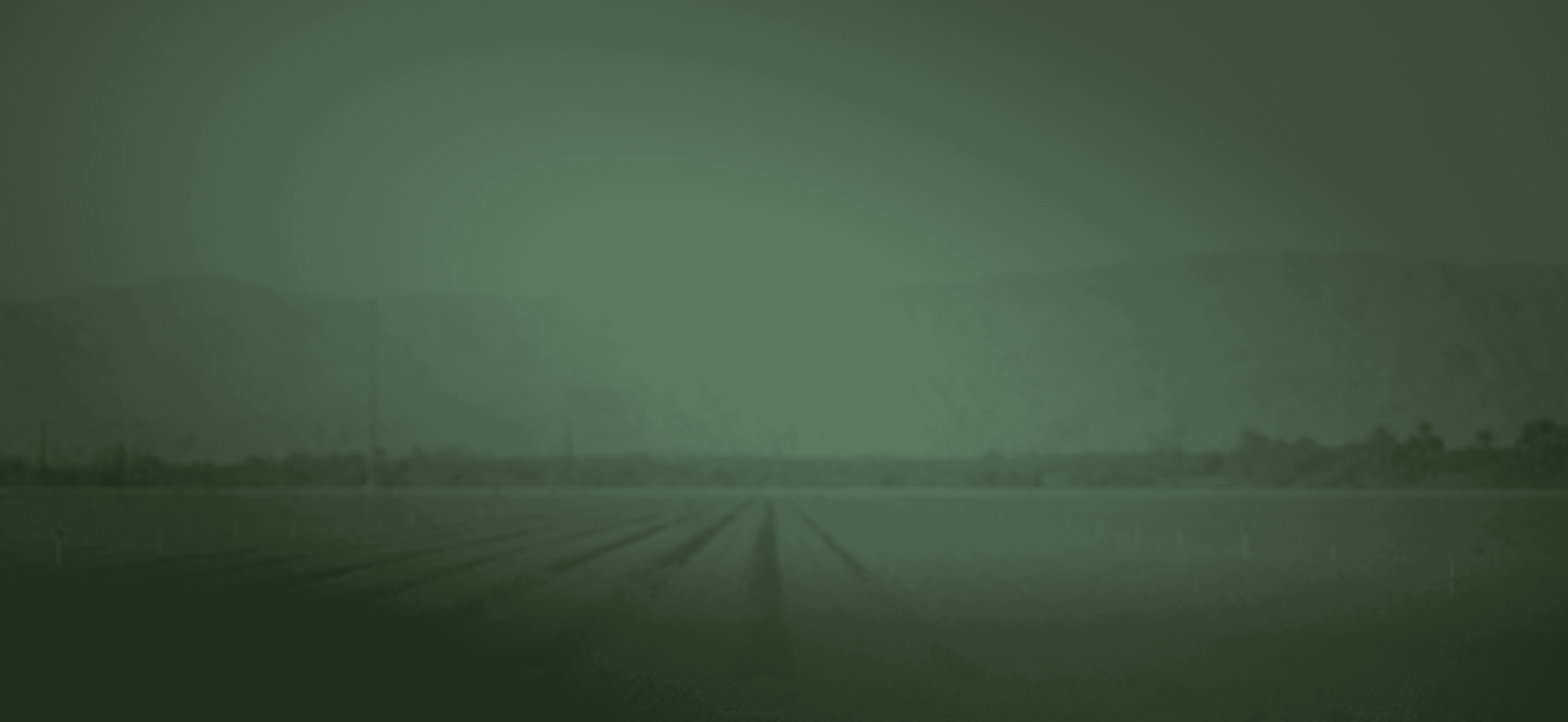 Conference hero background